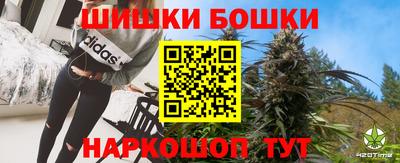 jwh Новозыбков
