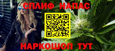 гашик Нарткала