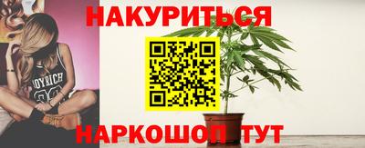 гашик Нарткала
