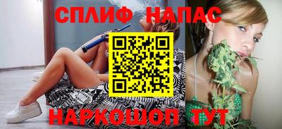гашик Нарткала