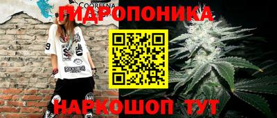стафф Нальчик