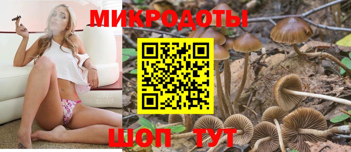 Псилоцибиновые грибы Psilocybine cubensis Шатура