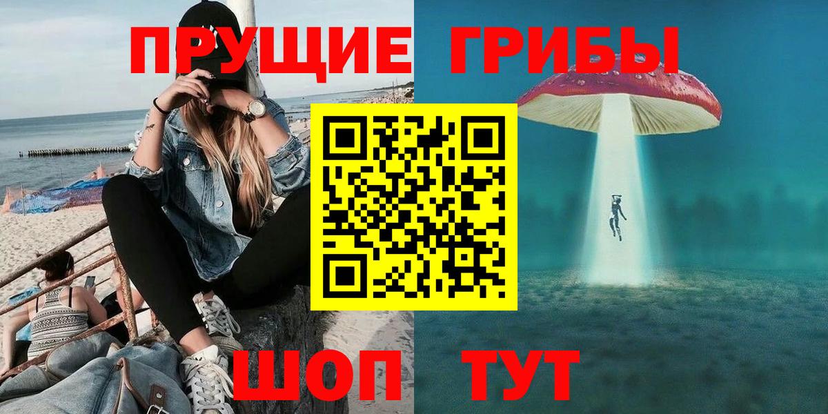 Шатура  Псилоцибиновые грибы ЛСД  Вход с VPN  Галлюциногенные грибы прущие грибы 