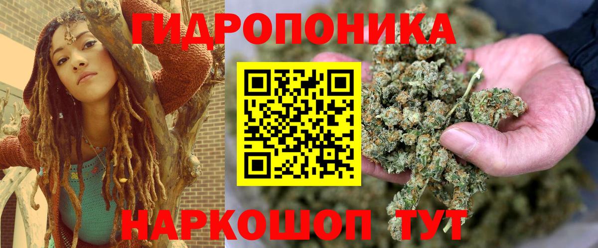 Конопля конопля Шатура